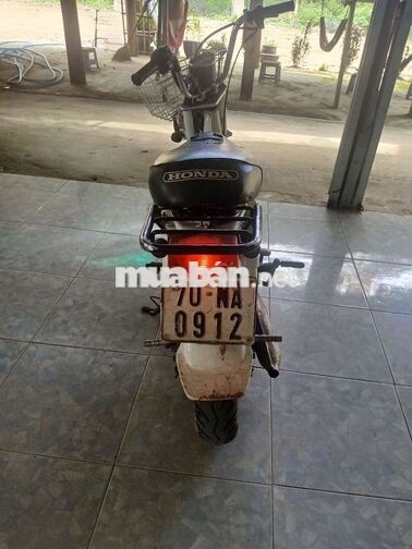 Honda Chaly Trắng