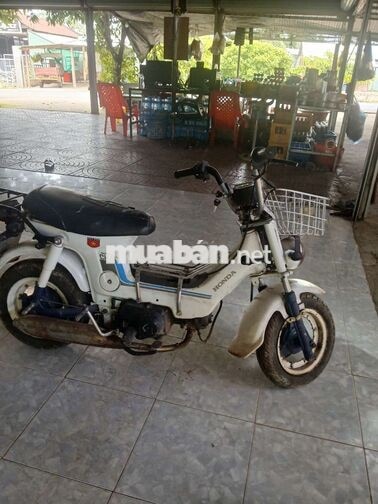 Honda Chaly Trắng