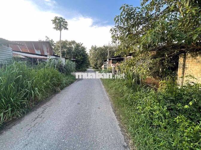 Đất MTĐ 762,An Nhơn Tây,Củ Chi,HCM.