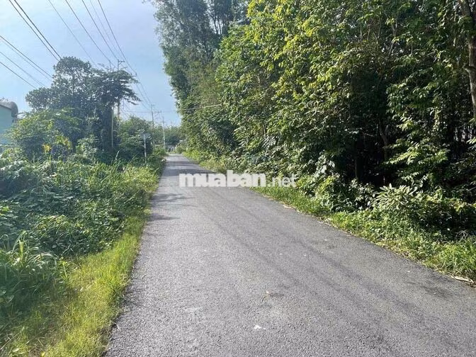 Đất MTĐ 762,An Nhơn Tây,Củ Chi,HCM.