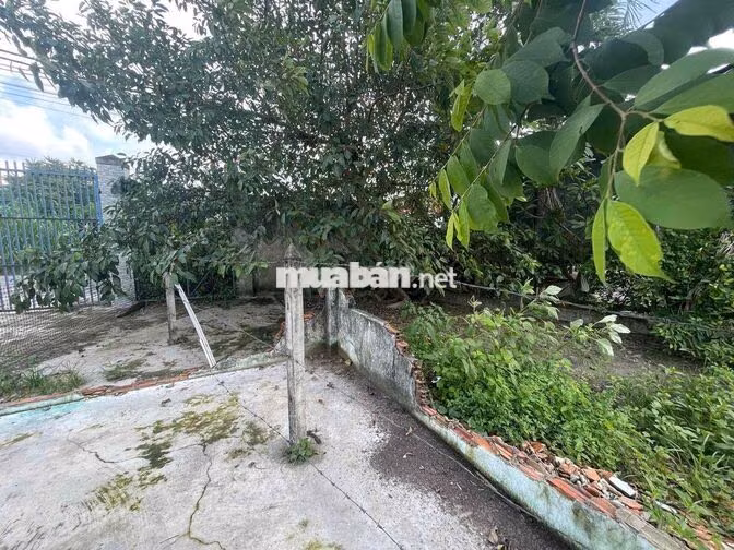 Đất MTĐ 762,An Nhơn Tây,Củ Chi,HCM.