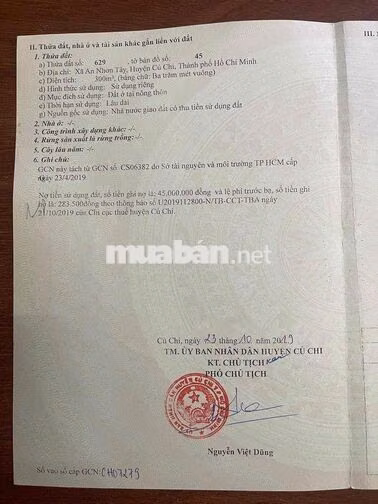 Đất MTĐ 762,An Nhơn Tây,Củ Chi,HCM.