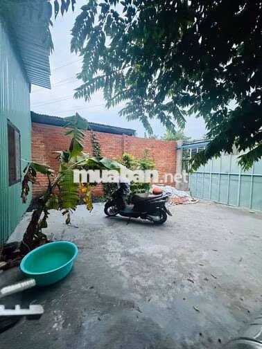 CHO THUÊ NHÀ CẤP 4 MỚI XÂY GẦN CẦU BƯNG LÊ TRỌNG TẤN