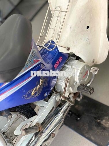 Honda Cub 50cc Xanh Trắng