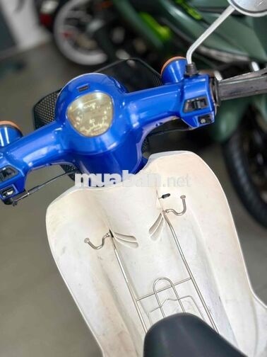 Honda Cub 50cc Xanh Trắng