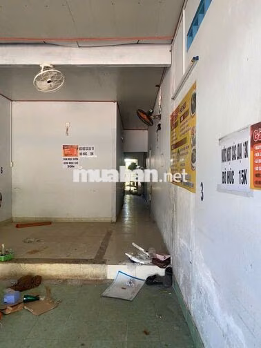 Cho thuê nhà mặt tiền số 15 đường 27/4 Phước Bửu, Xuyên Mộc