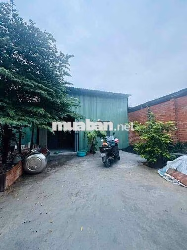 CHO THUÊ NHÀ CẤP 4 MỚI XÂY GẦN CẦU BƯNG LÊ TRỌNG TẤN