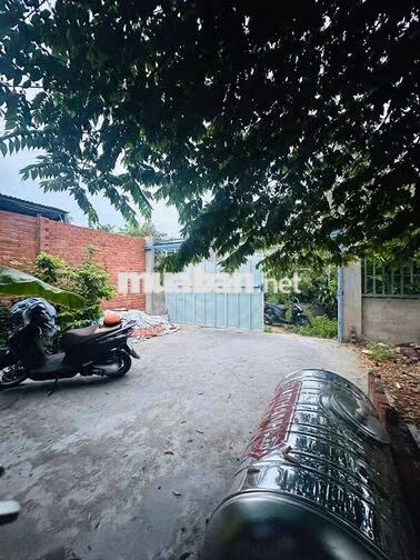 CHO THUÊ NHÀ CẤP 4 MỚI XÂY GẦN CẦU BƯNG LÊ TRỌNG TẤN