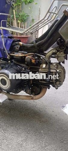 Kawasaki Max II Tím Nhật