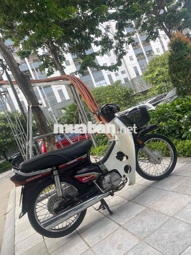 Honda Dream Thái mộc chất e bán 13,5 triệu cho ae.
