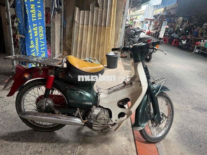 Cup 50 1981 máy 100