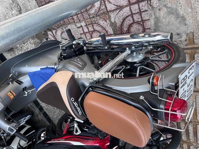 Detech Cup 50cc Xám 3000 km
