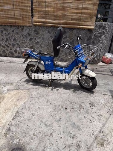 Honda Chaly 1984 50cc Xanh Trắng