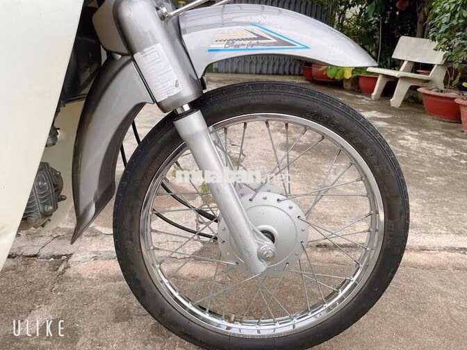 Daelim Cub 50cc 2023 Xám