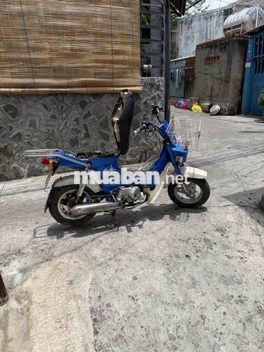 Honda Chaly 1984 50cc Xanh Trắng
