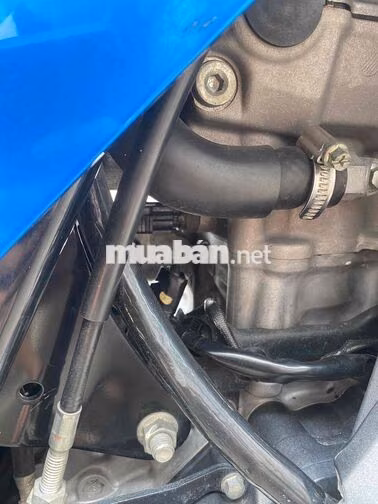 Honda Winner X 2019 Đen, Xanh Việt Nam