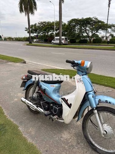 Honda Cub 2021 Xanh Trắng