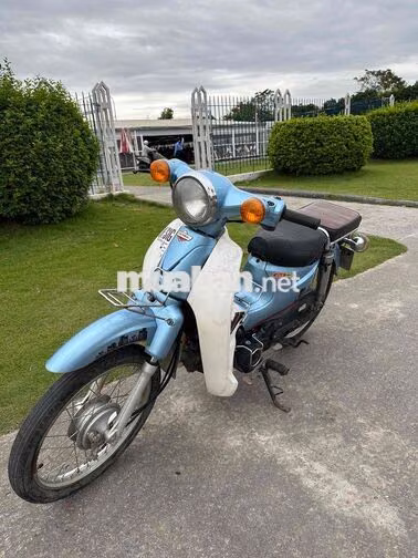 Honda Cub 2021 Xanh Trắng