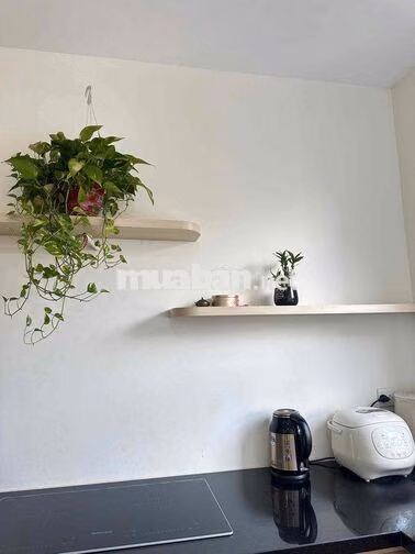 CHO THUÊ CĂN HỘ 2 PHÒNG NGỦ – ORI GARDEN LIÊN CHIỂU