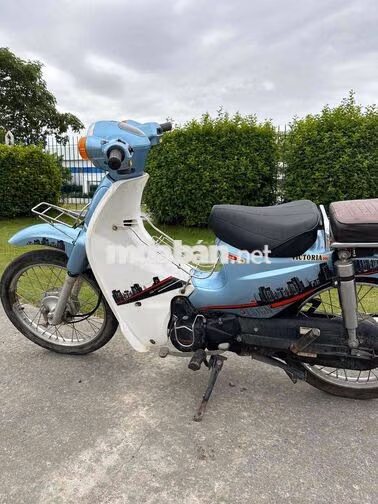Honda Cub 2021 Xanh Trắng