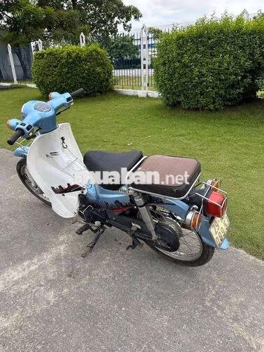 Honda Cub 2021 Xanh Trắng