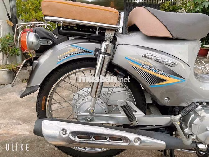 Daelim Cub 50cc 2023 Xám