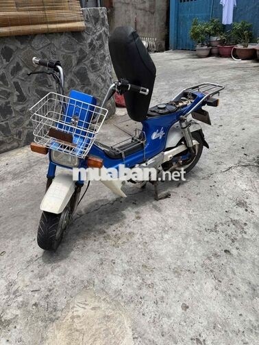 Honda Chaly 1984 50cc Xanh Trắng