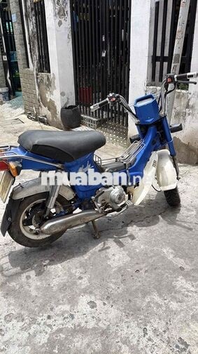Honda Chaly 1984 50cc Xanh Trắng
