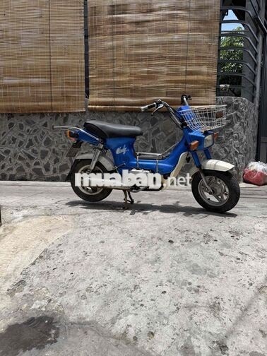 Honda Chaly 1984 50cc Xanh Trắng