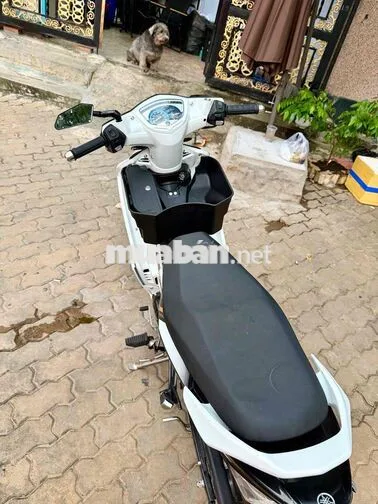 Yamaha Exciter 5P71 Trắng Nguyên zin 2010