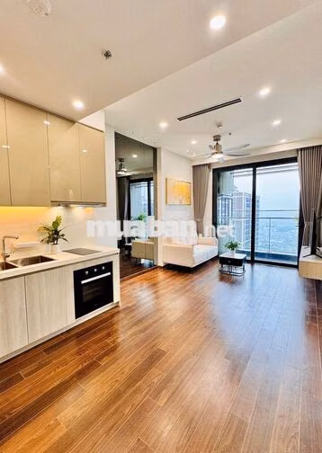 Bán căn hộ 1pn+1  43m -2,8 tỷ kđt Vinhomes Smart City 