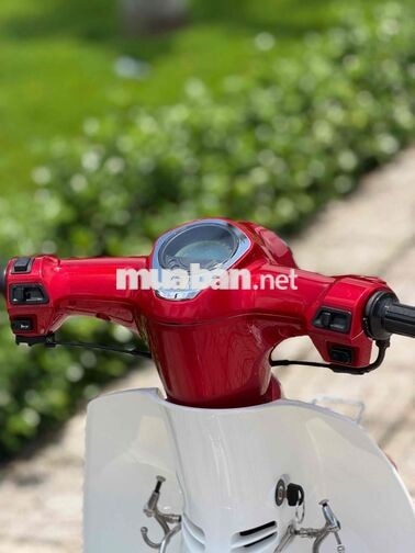 Cub 50cc 2022 Đỏ Candi ✅💥