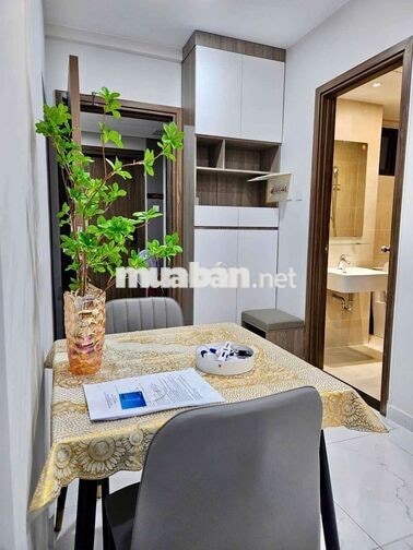 THUÊ STUDIO FULL NỘI THẤT – OPAL SKYLINE LÁI THIÊU THUẬN AN 5TR5