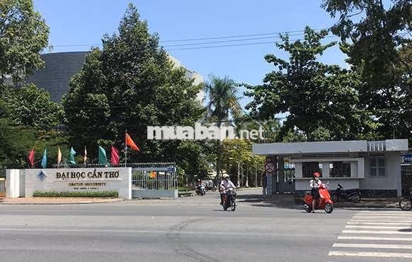 cần sang lại phòng trọ hẻm 195, đường 3/2