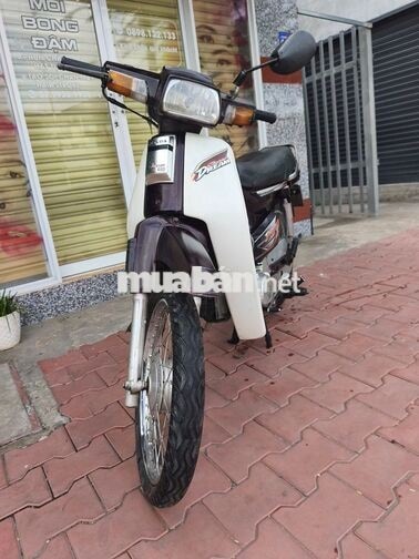 Honda Dream Trắng, Nâu Xe số