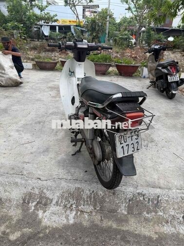Honda Dream Trắng, Đen Hàn Quốc