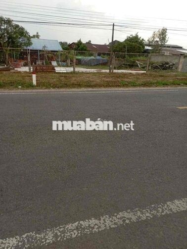 Cho thuê 4.000m2 MT TL944, ngang >50m, có thổ cư gần phà An Hoà