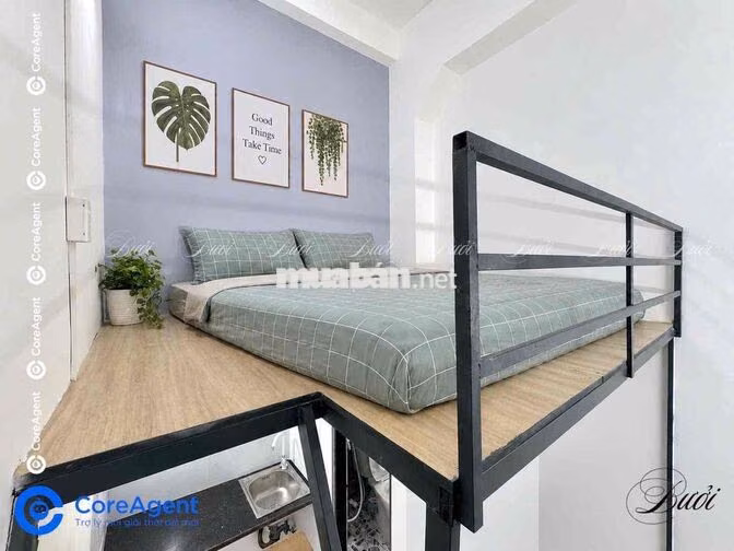 Hồng Bàng - Luỹ Bán Bích Phòng giá sinh viên