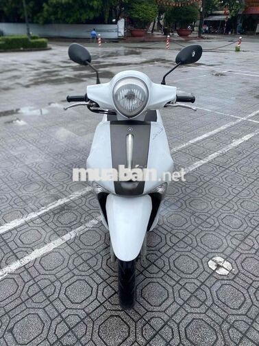 zanus xe đẹp máy chất