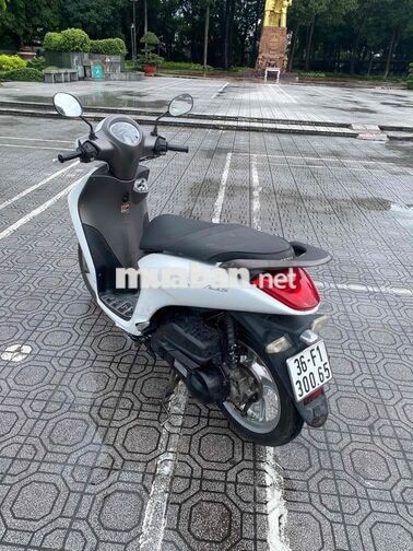 zanus xe đẹp máy chất