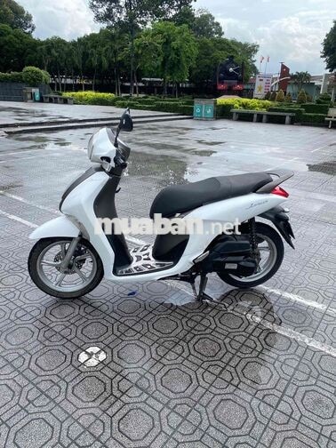 zanus xe đẹp máy chất
