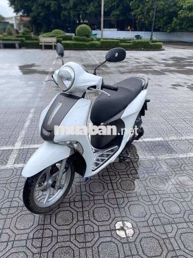 zanus xe đẹp máy chất