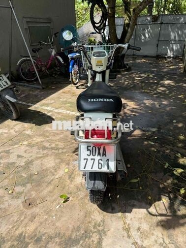 Honda Chaly Cổ điển màu Trắng đèn vuong.zin az