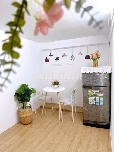 28 phổ Quang F2 Tân bình. 2 mtiền nền hay đi cửa sau Sau lưng NH Hoa