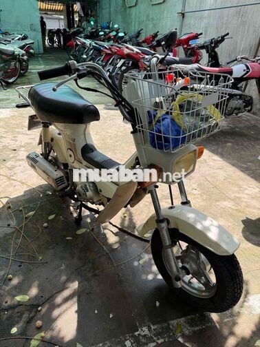 Honda Chaly Cổ điển màu Trắng đèn vuong.zin az