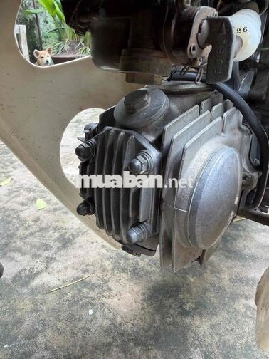 Honda Dream thái Nâu trắng Nhật Bản
