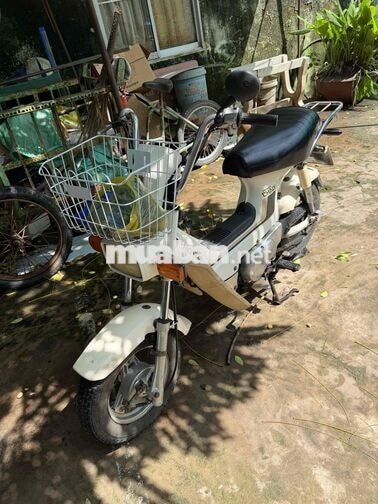 Honda Chaly Cổ điển màu Trắng đèn vuong.zin az