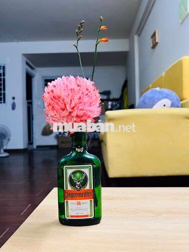 Cho thuê Căn hộ Ehome S Khu Mizuki
