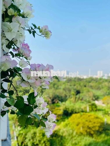 Cho thuê Căn hộ Ehome S Khu Mizuki