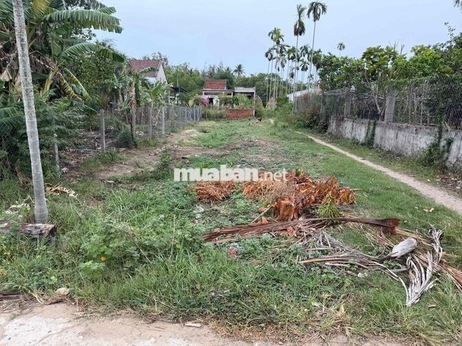 Chủ Chào Bán Lô 2MT View Lúa Gần Sông , Gần Biển , Khu Vực Điện Dương